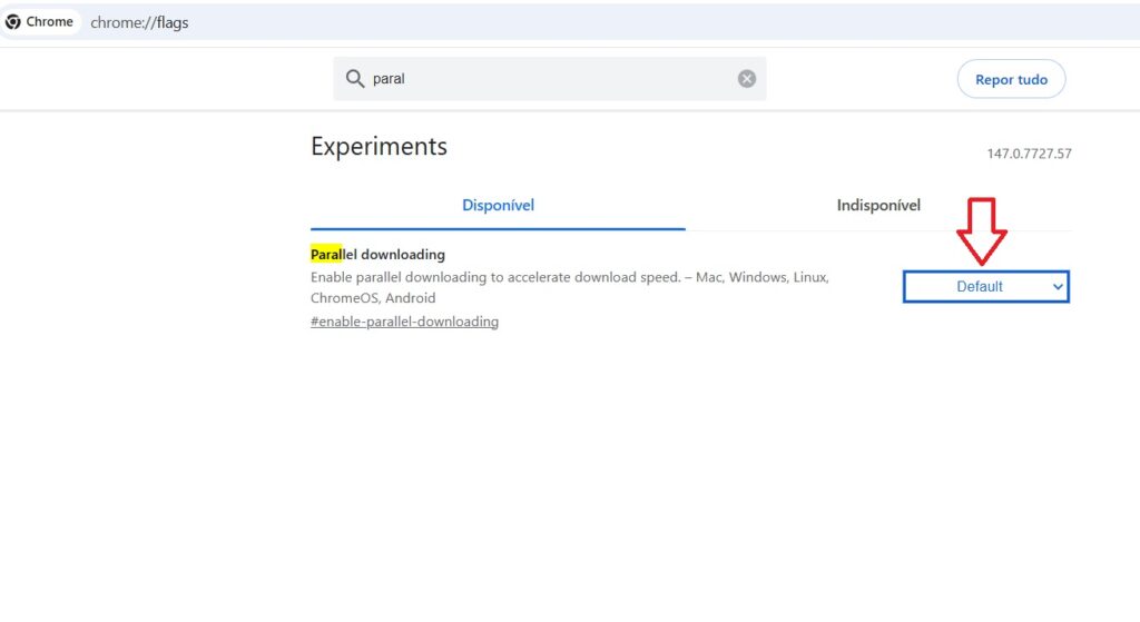 Chrome flags com função Parallel Downloading ativada